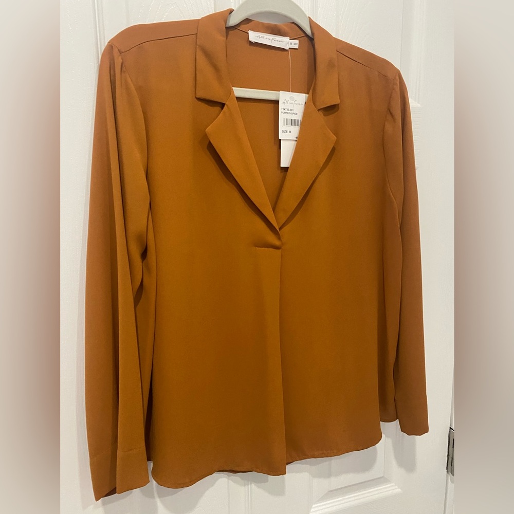 NWT Elegant Rust color long sleeve blouse size Medium polyester